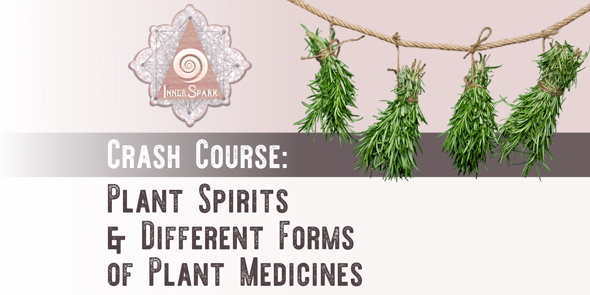 Crash Course: Plant Spirits & Different Forms of Plant Medicines