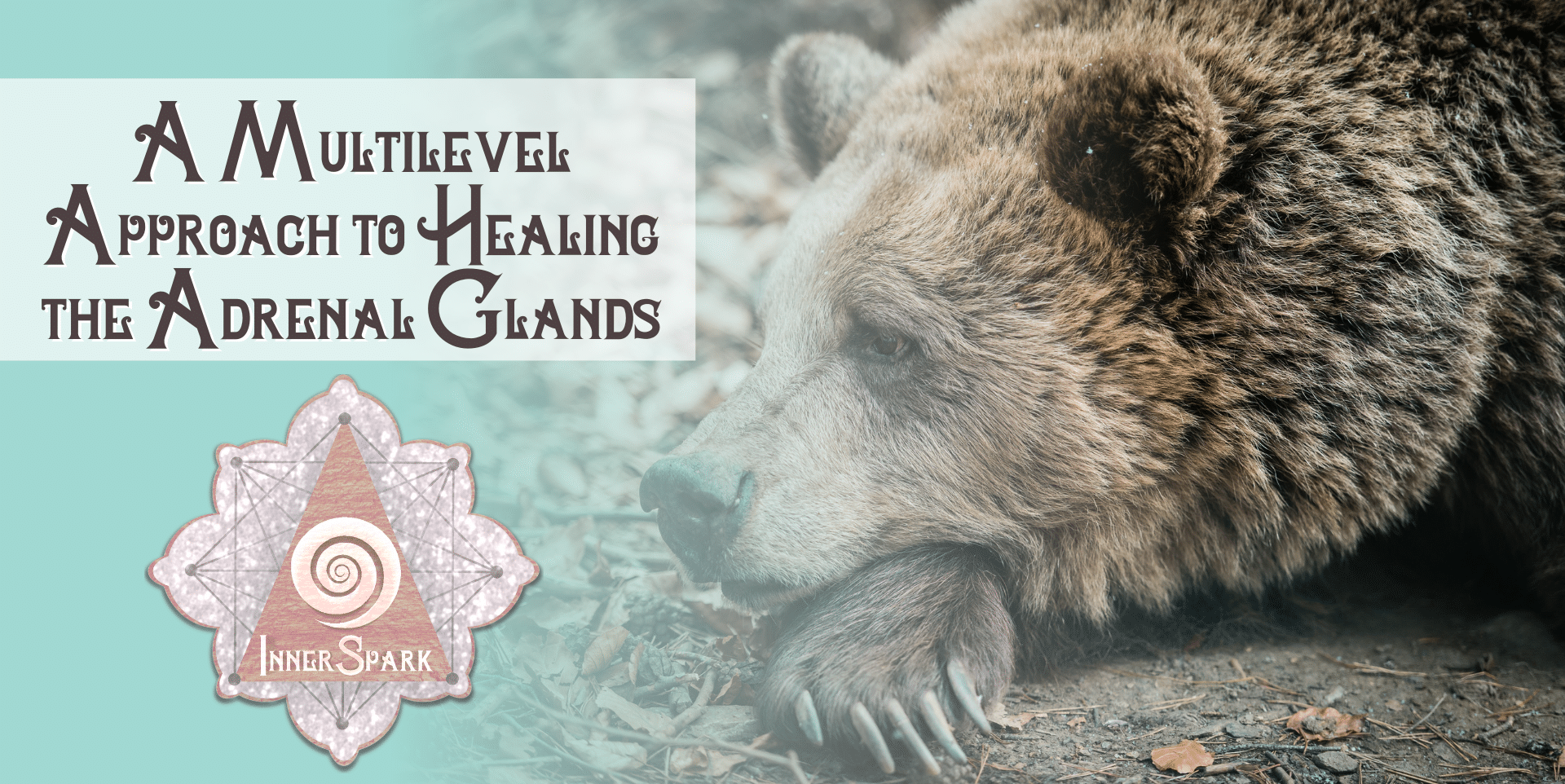 A Multilevel Approach to Healing the Adrenal Glands