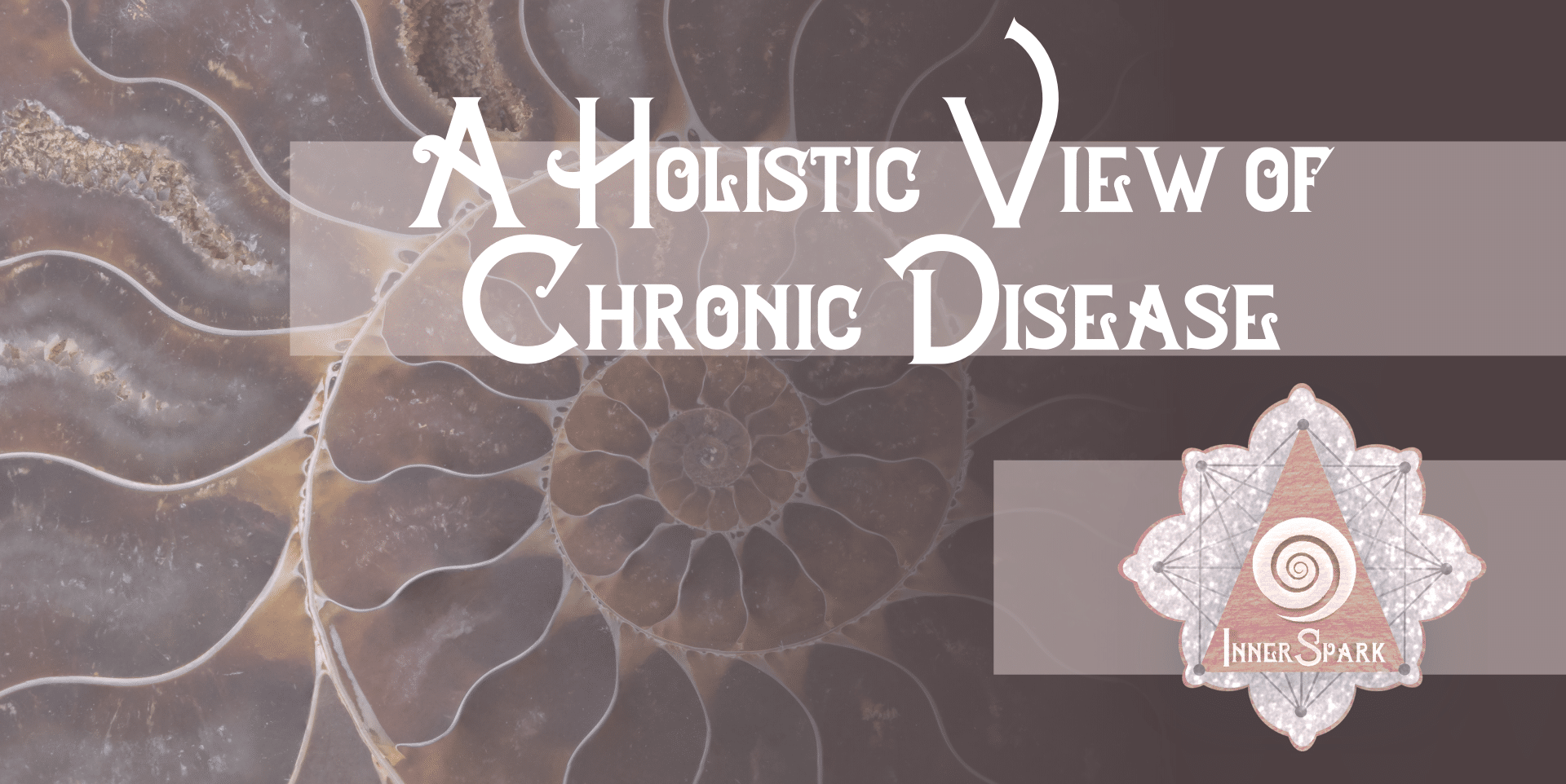 A Holistic View of Chronic Disease