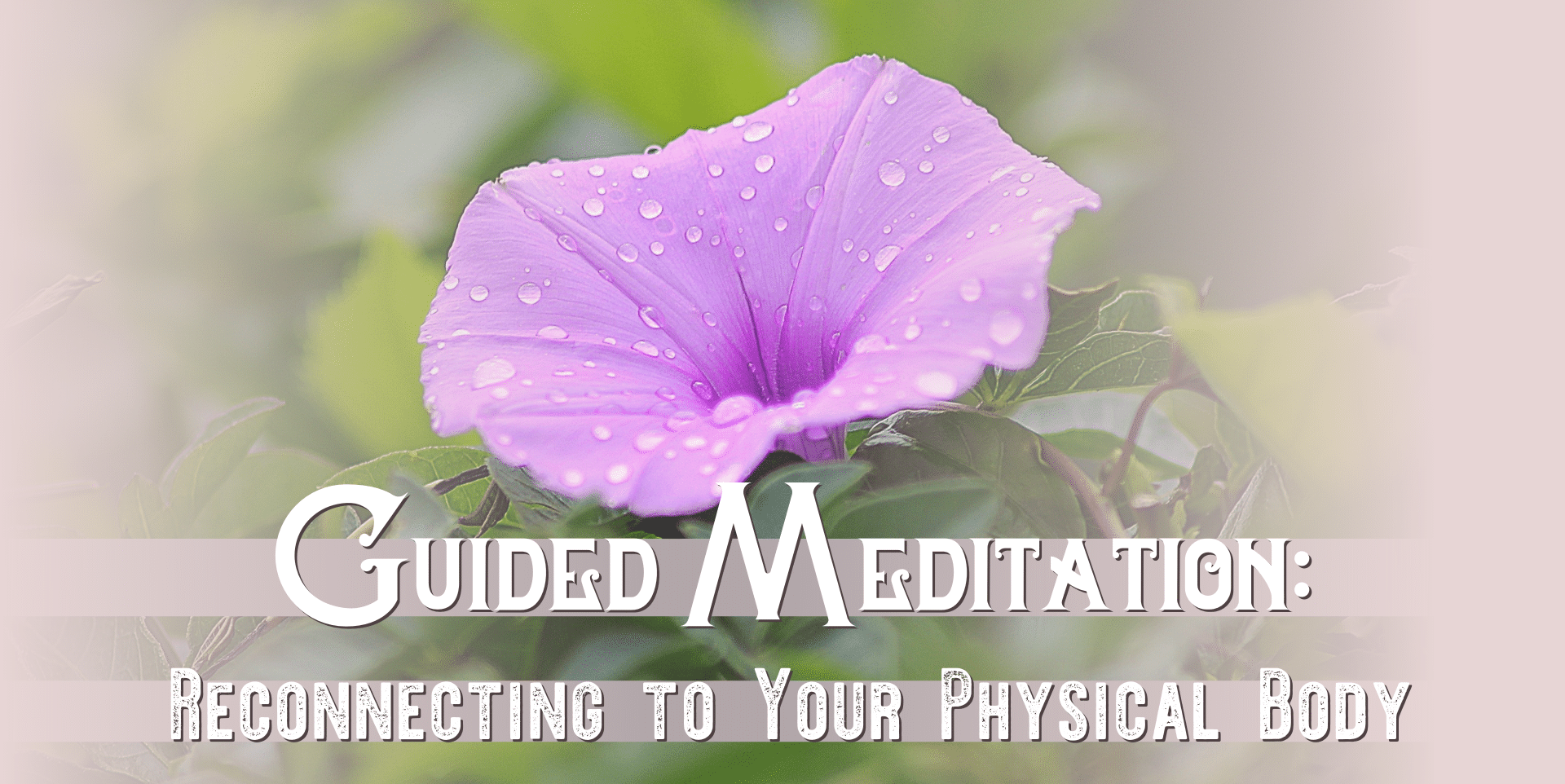 Guided Meditation: Reconnecting to Your Physical Body