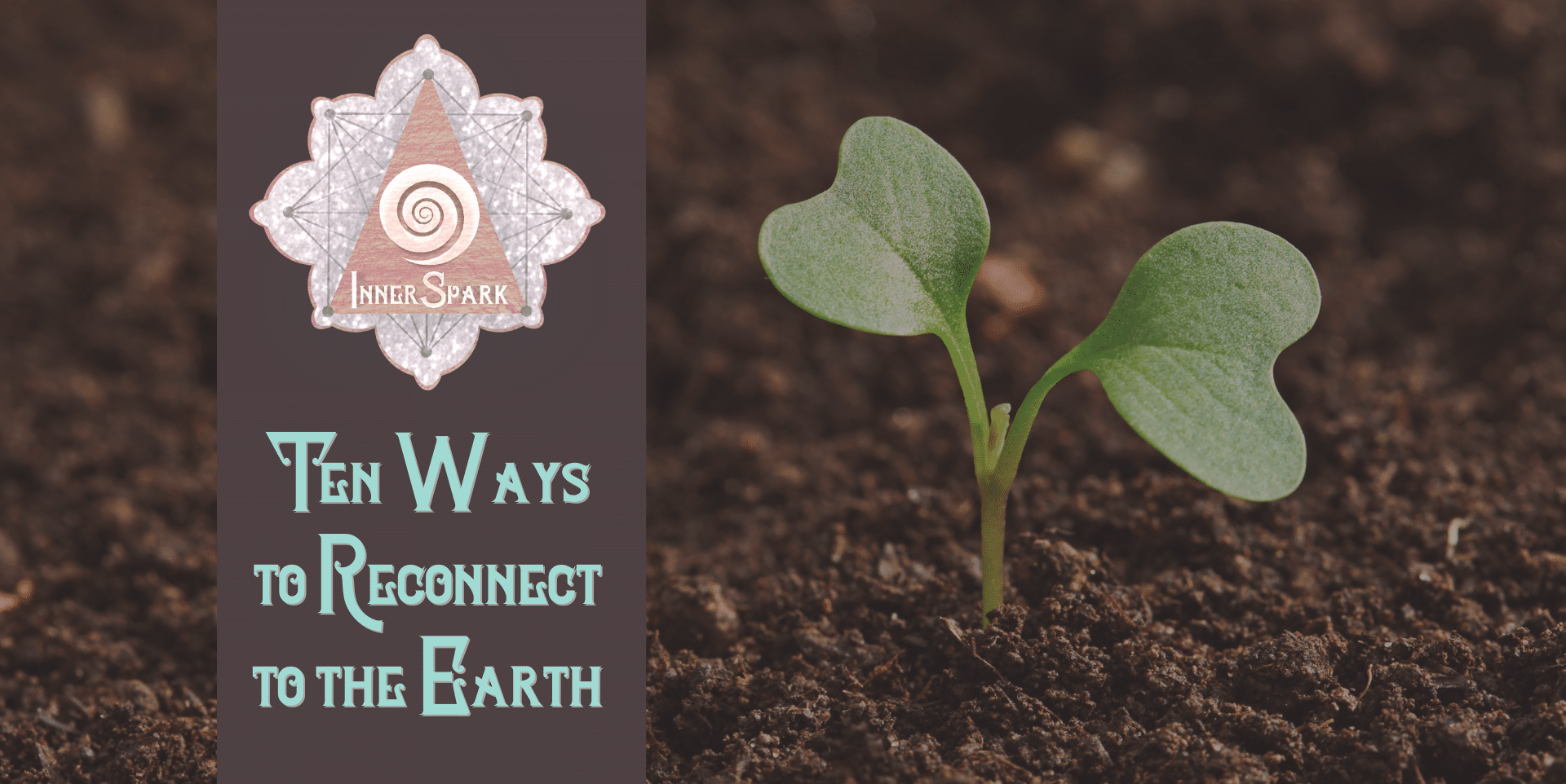 Reconnect to the Earth