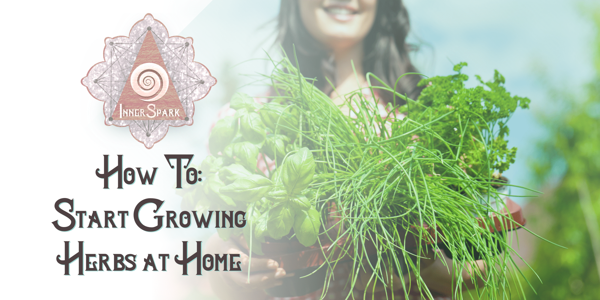 How To: Start Growing Herbs at Home