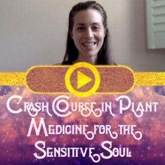 Crash Course in Plant Medicine for the Sensitive Soul