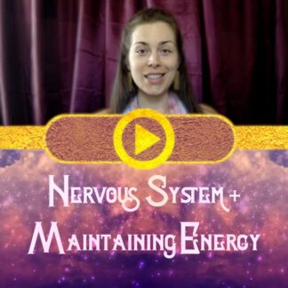 Nervous System + Maintaining Energy