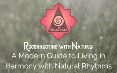 A Modern Guide to Living in Harmony with Natural Rhythms